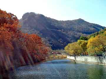 新澳天天开奖资料大全旅游团，鬼图片